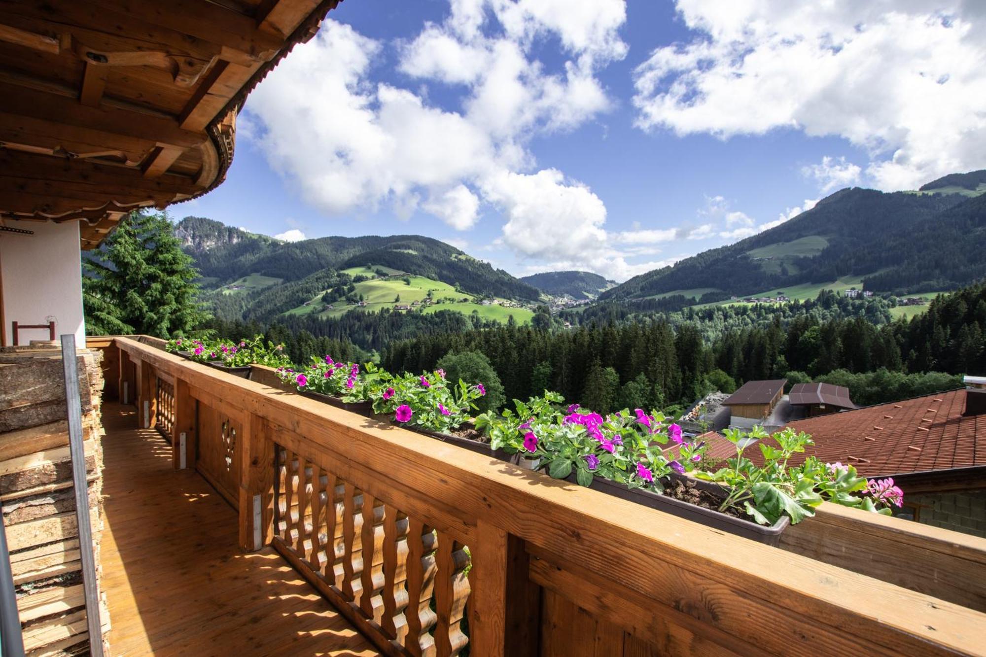Gittis Ferienwohnung Panorama Wild31 Bernau  Kültér fotó